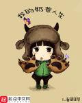 人生小说我的奶爸人生
