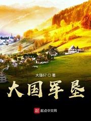 战争小说大国军垦